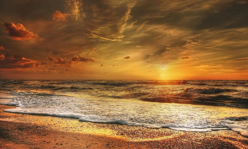 The movie 'Tomorrow' could become a reality in two years